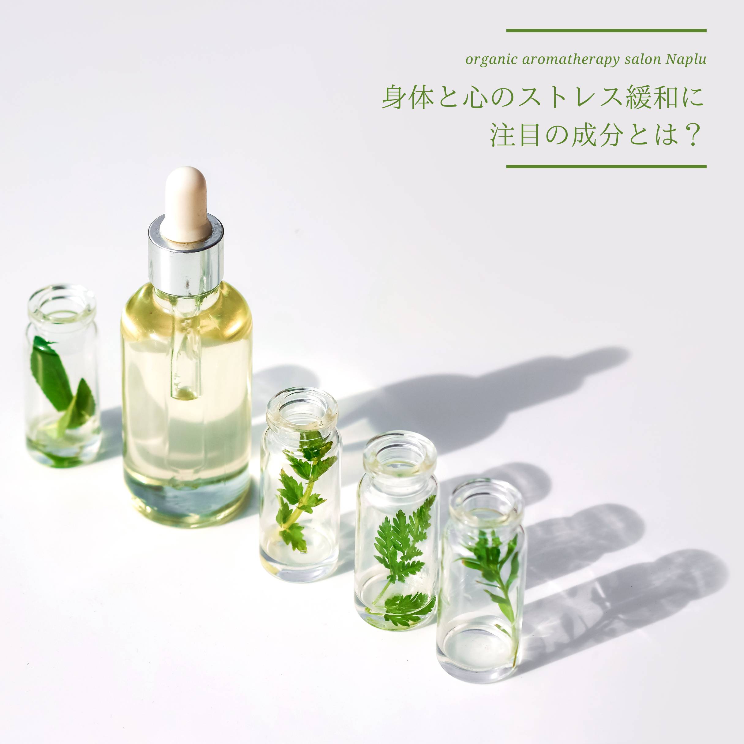 身体と心のストレス緩和に注目の成分とは？ - オーガニックアロマ